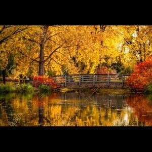 Meet your Posher, Natasha